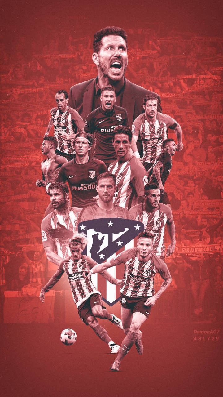 又一次向极 又一次向极